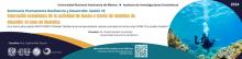 Resiliencia buceo Huatulco