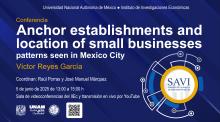savi-iiec-2025-1-11