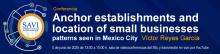 savi-iiec-2025-1-11